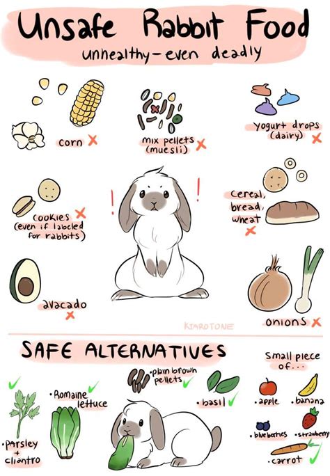 Rabbit Feeding Diagram