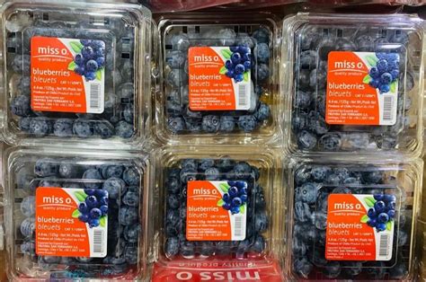 A Grade Blueberry Packaging Type Carton Packaging Size 125g At