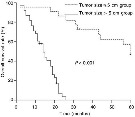 Tumor Size Is Related With Patient Survival Patients With Tumor Size Download Scientific