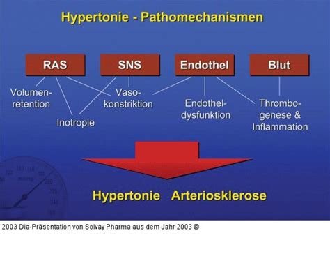 Abbildung Hypertonie Pathomechanismen