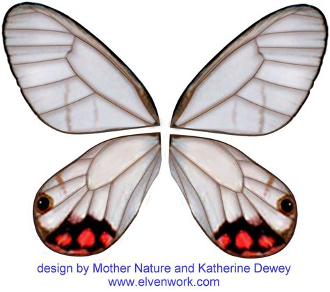 Fairy Wing Designs By Katherine Dewey Wings Fairy Wings Wings Design