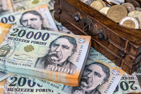 Hungarian Currency Stock Photos Pictures And Royalty Free Images Istock