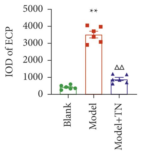 Tn Reduced The Expression Of Eosinophil Peroxidase Epo And Eosinophil Download Scientific