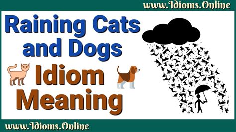 Raining Cats And Dogs Meaning Idiom Examples And Origin Youtube