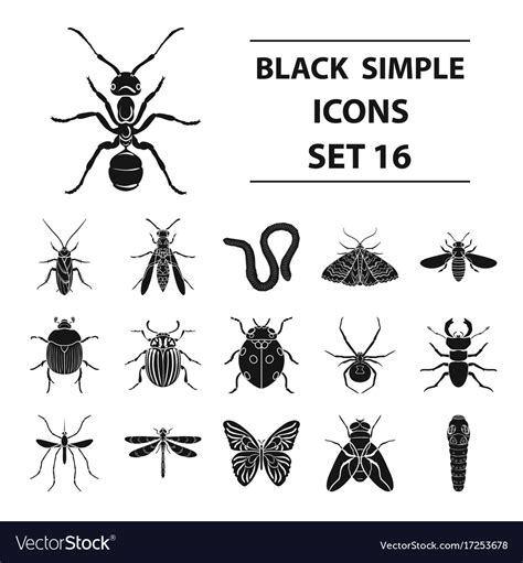 Insects Set Icons In Black Style Big Collection Vector Image