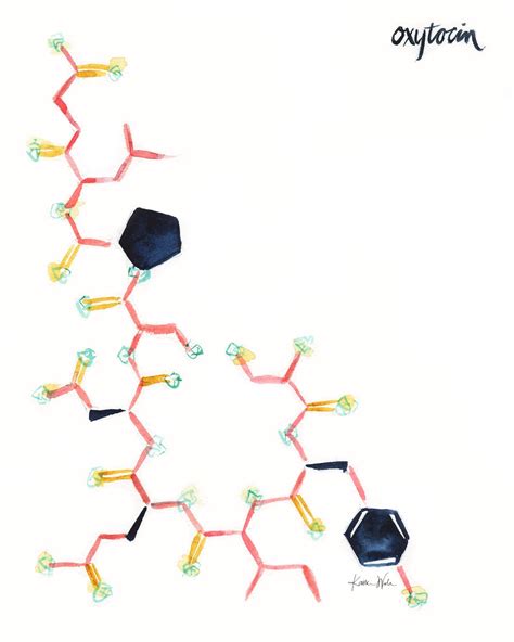 Oxytocin Watercolor Print Happy Hormones Abstract Anatomy Etsy