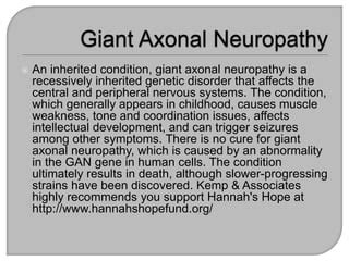 What Is Giant Axonal Neuropathy? | PPT