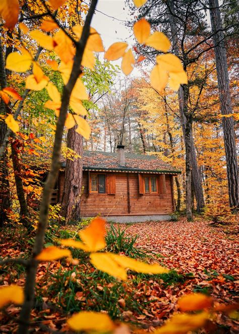 Hidden Protection: Using Trail Cameras For Security At Home