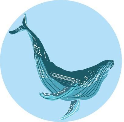 Whale Outline Vector Art, Icons, and Graphics for Free Download