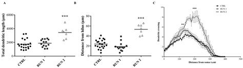 Ijms Free Full Text Short Term Voluntary Exercise Affects Morpho