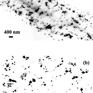 TEM Images A At Low Magni Fi Cation And B At High Magni Fi Cation