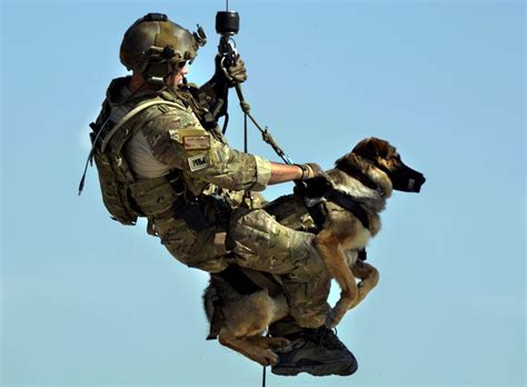 War Dogs K9 Special Forces Army Core Survival Hel Star 5