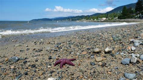 Best Beaches In West Vancouver - In Love With BC