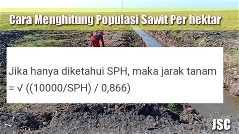 Cara Menghitung Jarak Tanam Dan Jarak Baris Untuk Menentukan Populasi