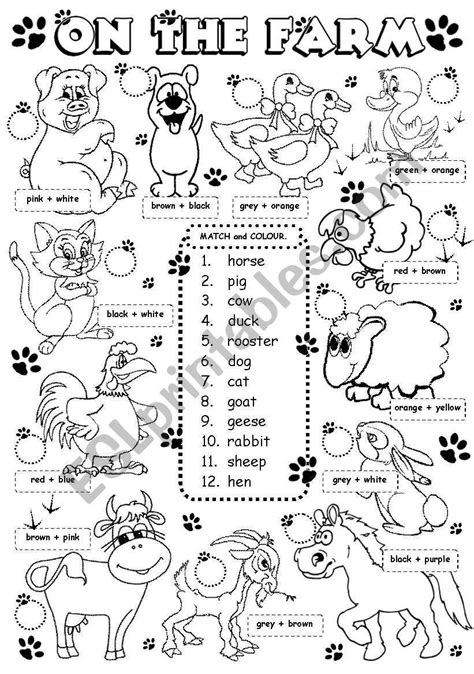 Animals Grade 1 Worksheets