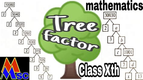 Factor Tree Of 105