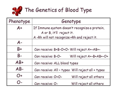 Printable Blood Type Chart Genetics – Free download and print for you.