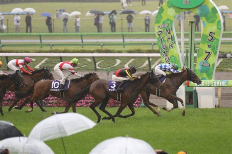 トム子 On Twitter 第28回 Nhkマイルc を制したのは シャンパンカラー と内田博幸騎手🎉 田中剛厩舎はローエン産駒の