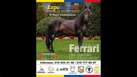 Feria Equina Grado A Exposabana Cundinamarca Dia Trocha Y