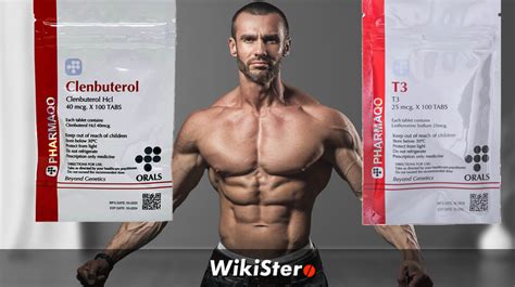 Qu Es El Clenbuterol Y C Mo Combinarlo Con Cytomel Wikistero La