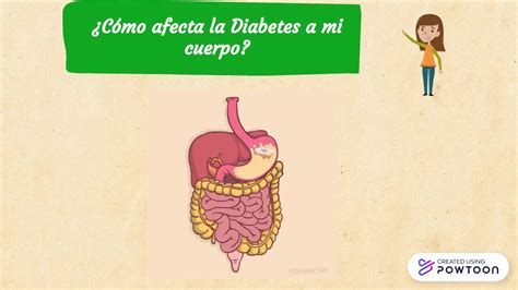 Generalidades De La Diabetes Mellitus Youtube