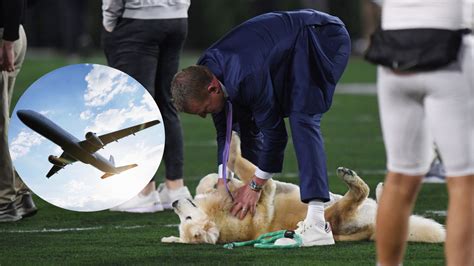 Kirk Herbstreit's Adorable Dog Will Travel Record Miles This Week