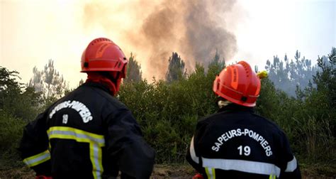 France Plus De 2 000 Hectares Détruits Dans Un Site Naturel En Bretagne