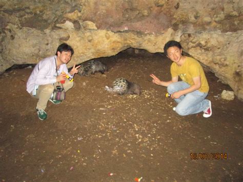 Taman Nasional Dan Cagar Alam Di Indonesia