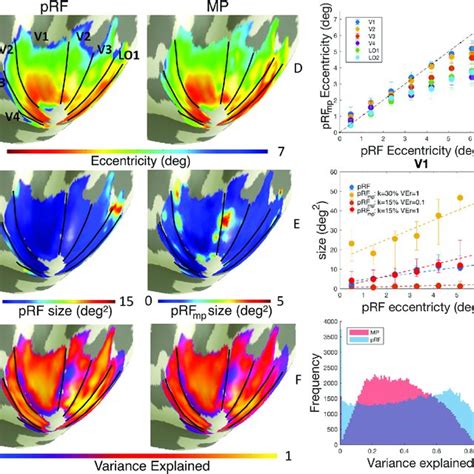 Comparison of MP-derived pRF and conventional pRF estimates. Panel A ...
