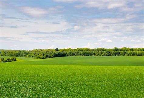 Types Of Landforms Of The Earth Tutorial For Kids