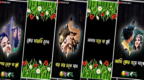 তর মযব চখ কজল হয যব Bengali lyrics Status Alight Motion