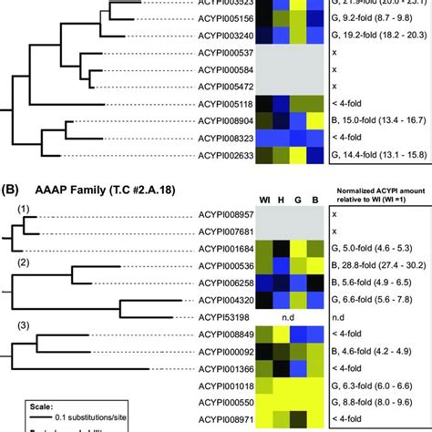 phylogenetic analysis  acyrthosiphon pisum apc transporters bayesian