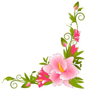 Download HD Flowers PNG with Transparent Overlay Free PNG Images