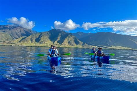 Whale Watch Kayak And Snorkel Adventure Photos And Video Included