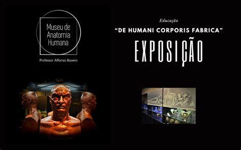 Museu De Anatomia Humana Da Usp Inaugura Exposi O Fotogr Fica Visite