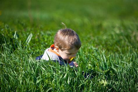 Estos son los beneficios de que un niño pase tiempo en la naturaleza