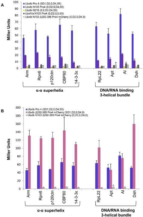 Defining Minimal Partner Interaction Domains Analysis Of Yeast