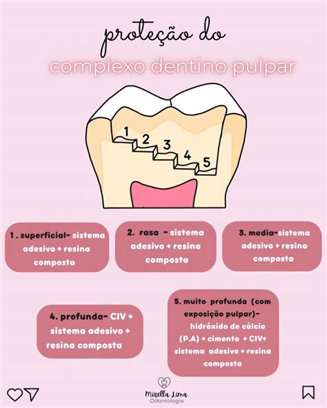 Complexo Dentino Pulpar Odontologia Bucomaxilofacial Assistente