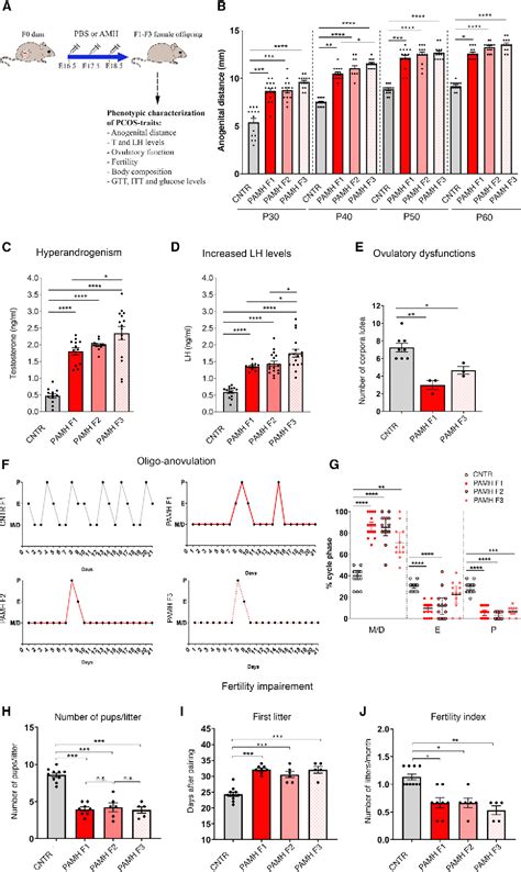 Figure From Polycystic Ovary Syndrome Is Transmitted Via A