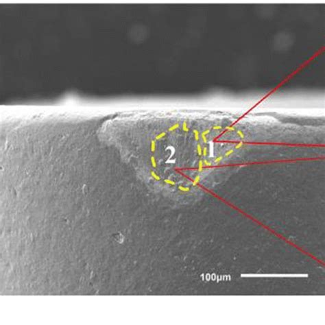 Sem Pictures And Edx Analysis On The Flank Face Of Wc Tool After Km