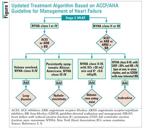 Heart Failure Guidelines Introduction To The New Agents