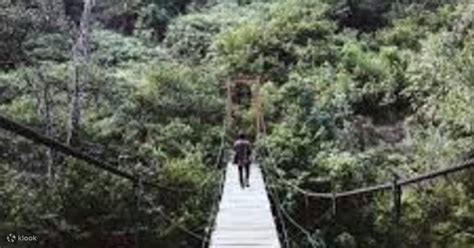 Trekking Tour Taman Hutan Raya Curug Maribaya Goa Belanda Dari