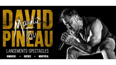 Maudit Fou Un Spectacle De David Pineau