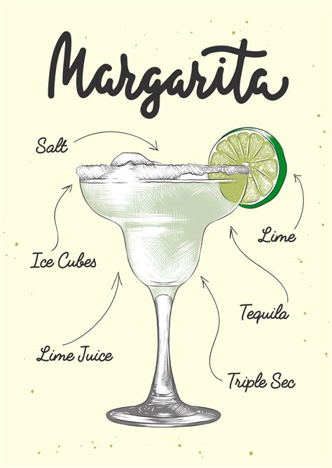 Vector Engraved Style Margarita Alcoholic Cocktail Illustration For