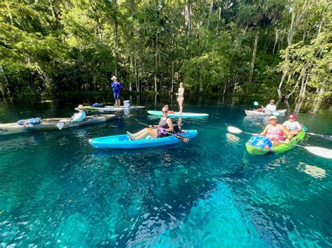 Silver Springs Manatees And Monkeys Clear Kayak Guided Tour GetYourGuide