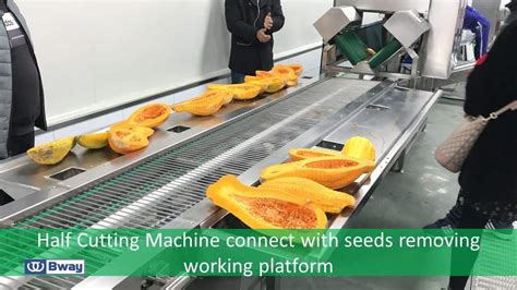 Automatic Butternut Squash Peeling Machine