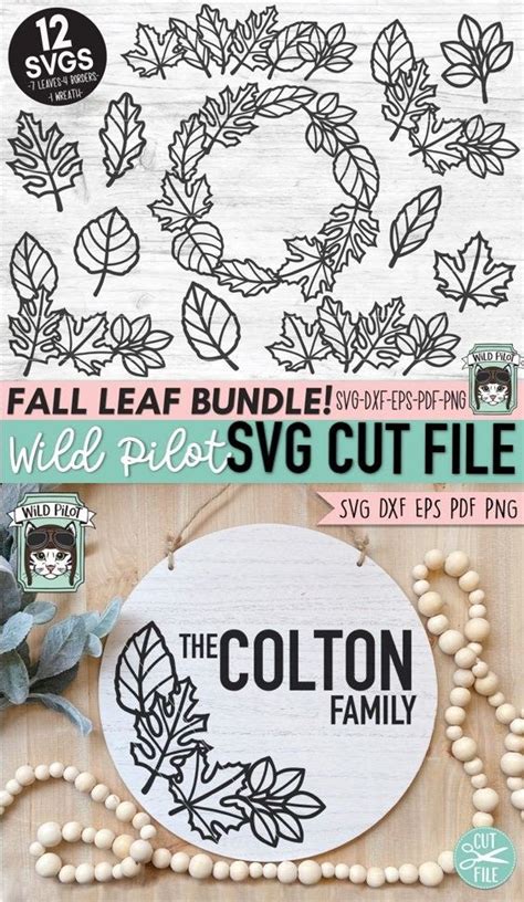 Fall Leaves Svg Files Autumn Svg File Fall Leaf Bundle Autumn Leaves