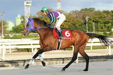 【園田金盃】ラッキードリームが園田重賞を連勝 ライブドアニュース