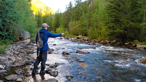 Small Stream Trout Fishing THE TROUT TRIFECTA Brown Brook And