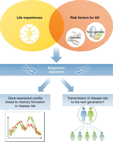 Epigenetic Memory The Lamarckian Brain The Embo Journal